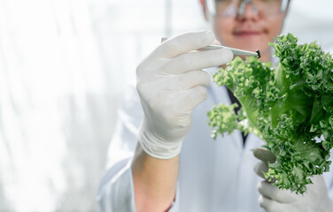 biochemistry, analyzing, genetic, lab, research, medical, science, biological, laboratory, scientist. A scientist is holding a leaf in his hand. The leaf appears to be a type of lettuce.