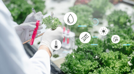 research, researching, network, innovation, health, sustainable, data, internet, greenhouse, environmental. A researcher is holding a plant and a red liquid, surrounded by a lot of scientific symbols.