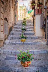 Fototapeta na wymiar Colour flower pots lining the steps in the old town of Cefalu, Sicily