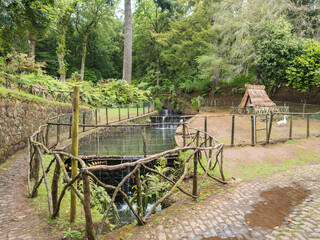 Traditional house, cascade on the duck pond at Parque das Queimadas, the starting point of Levada Caldeirao Verde and Caldeirao do Inferno hiking trails