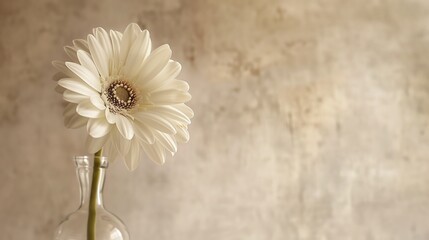 A single white flower in a clear vase against a neutral background, conveying simplicity and elegance - obrazy, fototapety, plakaty