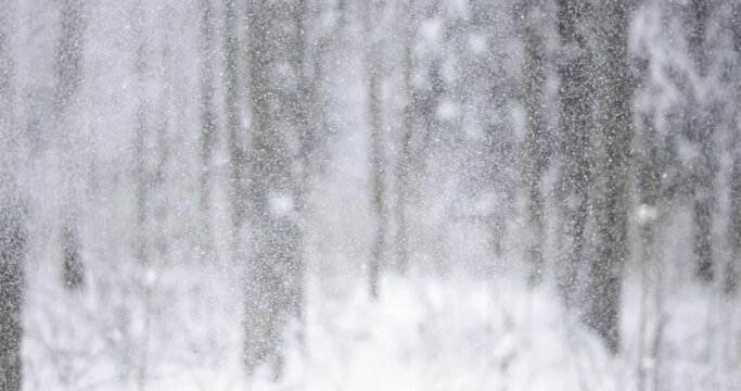 Winter landscape during snowfall. Winter Christmas abstract background on super slow motion.