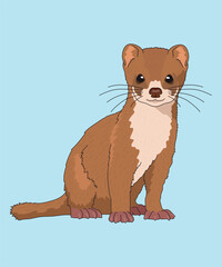 Least Weasel Weasels Sitting Side View