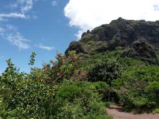 Le Morne Brabant Mountain View