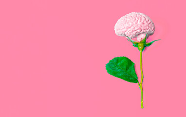 Rose with Brain Bloom on Pink Background