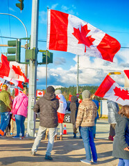 Group of Canadians with colourful flags gather to protest.