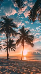 Fototapeta na wymiar Sun, beach, coconut trees, sunset, 8K, highdefinition ,43.