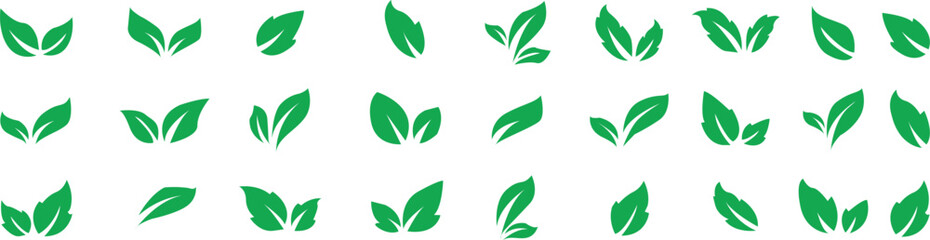 Set green leaves icon vector isolated on white background. Various shapes of green leaves of trees and plants.Eps 10