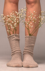 Women's feet in socks with gypsophila flowers. Beauty and health of women's feet
