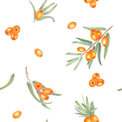 Sea buckthorn branch with orange berries. Pattern with orange sea buckthorn. Hand drawn watercolor illustration isolated on white background.