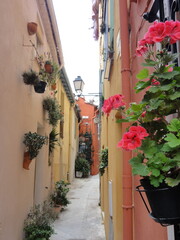Naklejka premium A traditional street in southern France adorned with colourful red flowers.