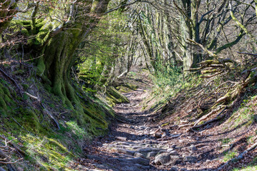 old sunken lane