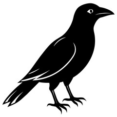 silhouette of a crow