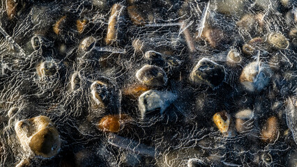 Galets pris dans la glace sur la plage en hiver