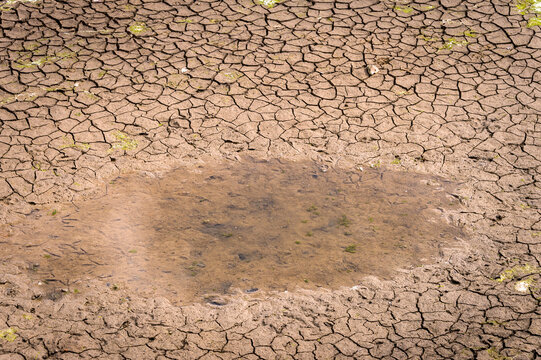 Dry riverbed with small puddle and cracked soil , global warming and drought concept.