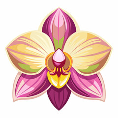 POPPY DEFFODIL FLOWERS  IRIS FLOWERS