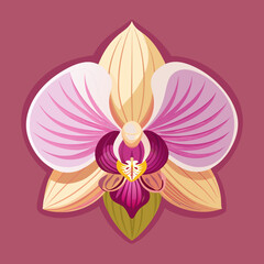 POPPY DEFFODIL FLOWERS  IRIS FLOWERS