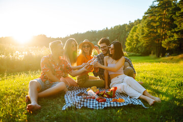 Group of young people having fun while drinking beer at picnic party. Friends enjoy sunny day....