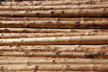 Pattern of stacked round tree trunks stored at a sawmill in the Eifel forest in Europe