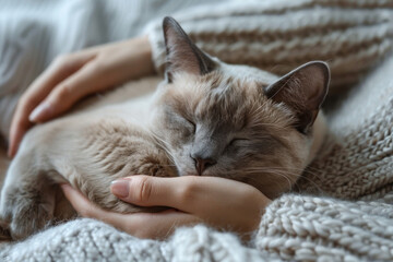 Cute cat hugs owner's hand (AI Generated) 