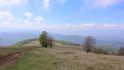 panorama of the mountains