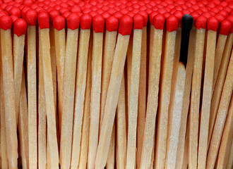 Close-up of matches with one burned, among rows of new ones.