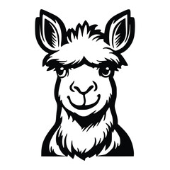 Adorable llama face design for kids' t-shirts. Vector illustration of a cute baby alpaca