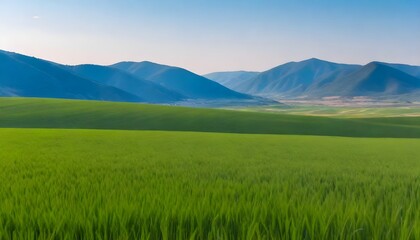 Fototapeta premium landscape with grass