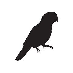 bird beo silhouette good for elemnt design and grapic to coloring sketch