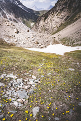Panoramic landscape in the mountains with rocks and scree, with grass glades, snow and glaciers on a sunny summer day in the Fann Mountains in Tajikistan with mountain ranges