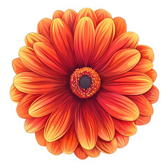 A flower Gerbera Daisy 1 flower blooming Picture from above cartoon 2D  illustration on white background Looks minimalist