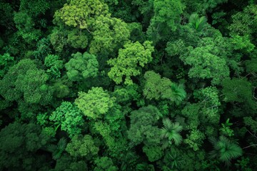 A vibrant and dense forest showcasing a multitude of green trees, creating a breathtaking natural landscape, Dense green Amazon rainforest seen from above, AI Generated