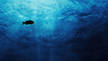 Silhouetted fish swimming in deep blue ocean waters