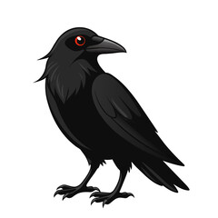 Fototapeta premium crow bird cartoon style on white background