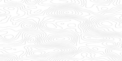 Abstract stripes map and landscape terrain texture grid, White wave paper curved reliefs abstract geometric topography,  Black and white geometric lines seamless Topographic map.	  - obrazy, fototapety, plakaty