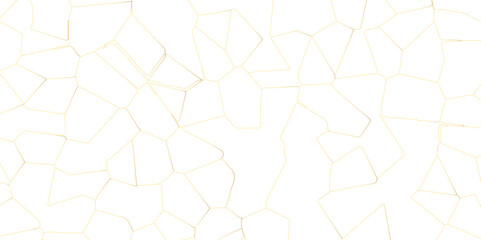 Abstract white crystalized broken glass background .black stained glass window art vector background . broken stained glass golden lines geometric pattern . - obrazy, fototapety, plakaty