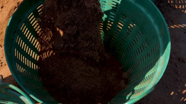 Mixing soil for growing mushrooms.