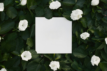 Pristine white square paper sheet provides a perfect blank canvas