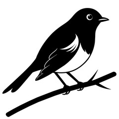 crow on a branch