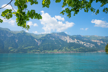 view over lake Brienzersee, tourist resort Brienz at the opposite site, linden tree branches - 790354599