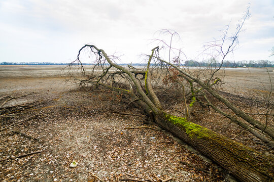 Dried bottom of a lake with mud