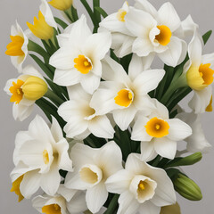 Obraz na płótnie Canvas narcissus flowers