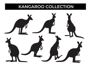 Kangaroo and Kangaroo Silhouettes on White Background