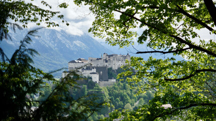 Blick auf die Festung Hohensalzburg in Salzburg vom Kapuzinerberg durch Blätter bei Sonnenschein