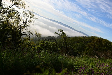Obraz premium clouds over the mountains