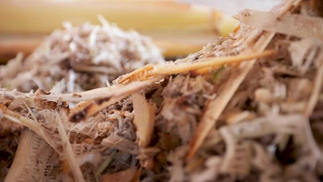 Banana stalks that are decomposed to make fertilizer.