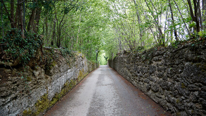 Mauern, Straße und darüber ein Blätterdach am Mönchsberg in Salzburg zur Richterhöhe