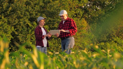 Modern farmer agronomist team analyzing use tablet innovation technology at corn field. Man and...
