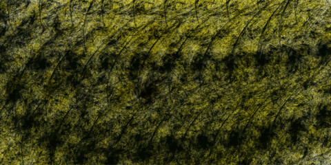 
black and white vintage background. Abstract texture background 
Vintage Abstract Texture Background.  
