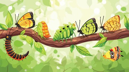 Butterfly life cycle - caterpillar larva pupa imago - obrazy, fototapety, plakaty